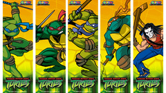 Teenage mutant ninja turtles