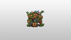 Teenage Mutant Ninja Turtles cartoons Raphael Donatello 