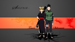 Temari naruto shippuden Shikamaru