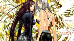 Tenjou tenge oh great