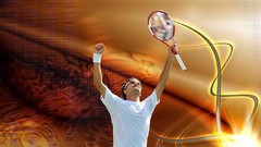 Tennis roger federer tennis balls