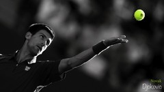 Tennis tennis players Djokovic