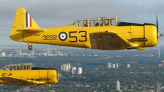 Texan royal air military