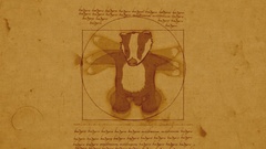 Text funny honey parody