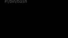 Text Linux Unix bash