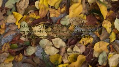 Text love letters friendship Friends Quotes inspirational Oscar 