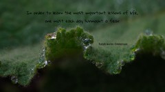 Text love letters friendship order learn Quotes inspirational