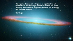 Text Quotes marijuana Carl