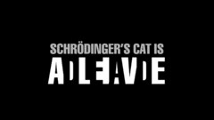 Text Schrödingers Cat