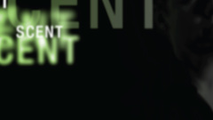 Text Typography armin van