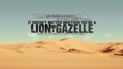 Text Typography phrase Lions gazelle Quotes deserts sand dunes 