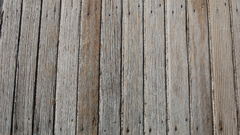 Texture Your Wood service shoopfag intermediate