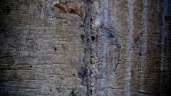 Textures concrete cement