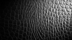 Textures Crocodiles