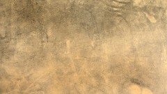 Textures leather Dusty