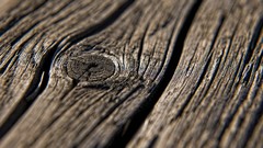 Textures nature knot Wood wood texture