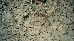 Textures surface cracks clay mud