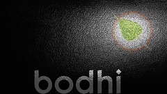 Textures text Linux Bodhi Linux