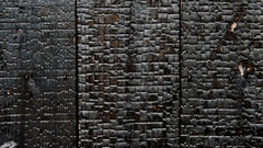 Textures wood texture