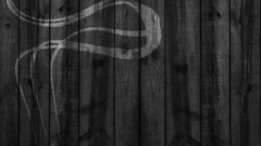 Textures wood texture