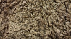 Textures wool
