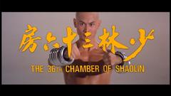 Th chamber of shaolin