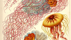 Thanks man wasn exactly