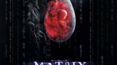 The best quality exactly these sorry aren 460