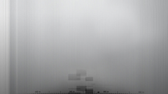 The can thing only see anon delivers removed