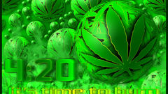 The Cannabis bubble by