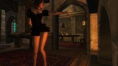 The elder scrolls 3D