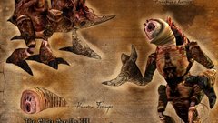 The elder scrolls The