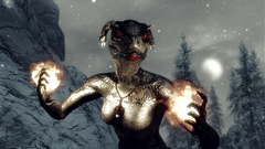 The elder scrolls v skyrim Argonian video games