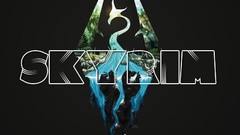 The elder scrolls v skyrim bethesda softworks