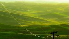 The enjoy National found geographic anilsud