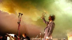 The flaming lips wayne
