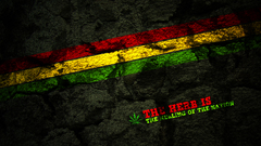 The healing nation poisongage