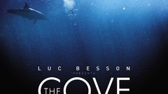 The high cove Resolution baie honte