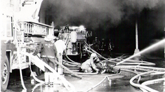 The historic roper fir