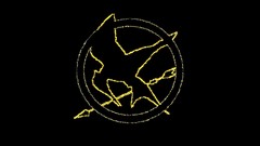 The hunger games mockingjay Catching Fire