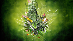 The Know name rasta anyone marihuana hakeryk