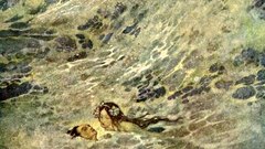 The little mermaid apparel