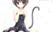 The melancholy of haruhi