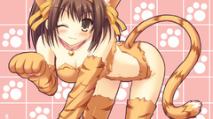 The melancholy of haruhi