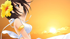 The melancholy of haruhi