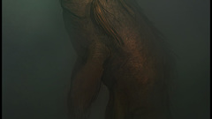 The More This version same