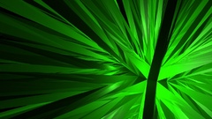 The nexus paroxysium post