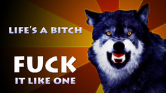 The not Torrent that used anyways