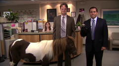 The Office dwight schrute