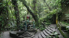 The orchid high dscn Resolution